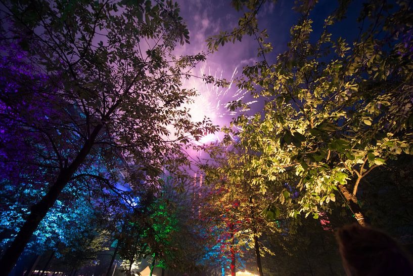 Evening Colors in the Trees van Brian Morgan