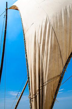 Zeilen onder de wind van een outrigger boot in Negombo Sri Lanka van Dieter Walther