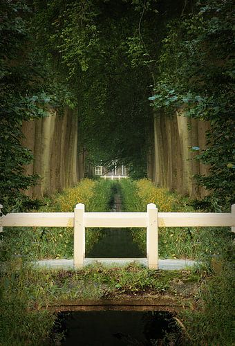 bridge over symmetry