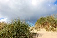 Herbst an der Ostsee van Ostsee Bilder thumbnail