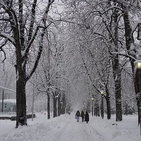 Winterspaziergang im Schnee zwischen den Bäumen von Kelly Alblas