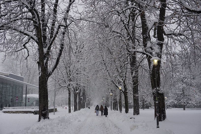 Winterspaziergang im Schnee zwischen den Bäumen von Kelly Alblas