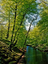 Natuur, Landschapsfoto