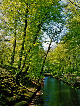 Natuur, Landschapsfoto