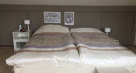 Japanese cranes' courtship dance