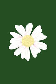 White Daisy Bloom by Karen Menzenbach