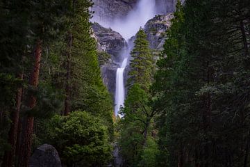 Chute d'eau à travers les arbres sur Bart Van Wijck