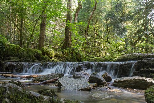 Waterfall in stream