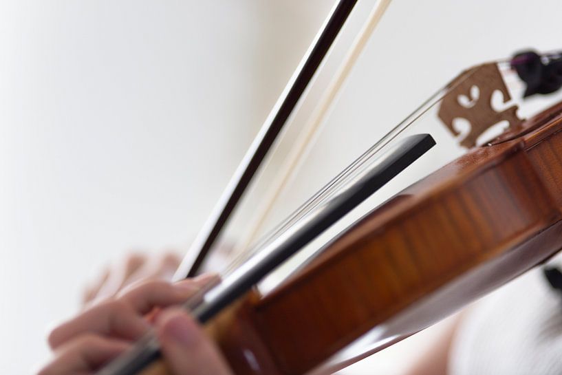 Violist die viool speelt van Thomas Heitz
