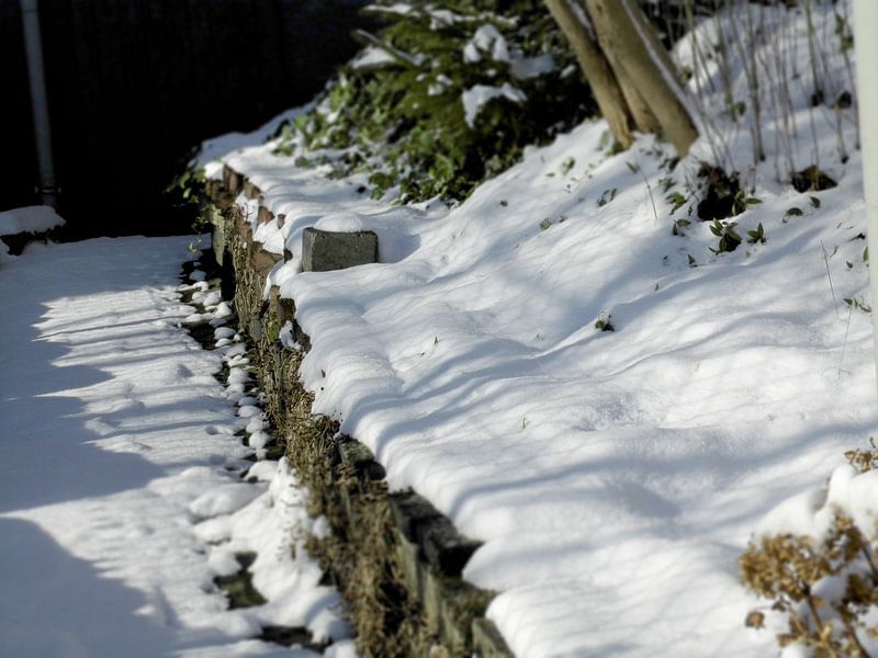 Winter von Tomas S.