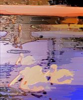 Vier Pelikane [Original 60 cm x 50 cm]