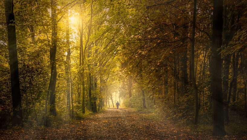 De wandelaar by Klaas Fidom