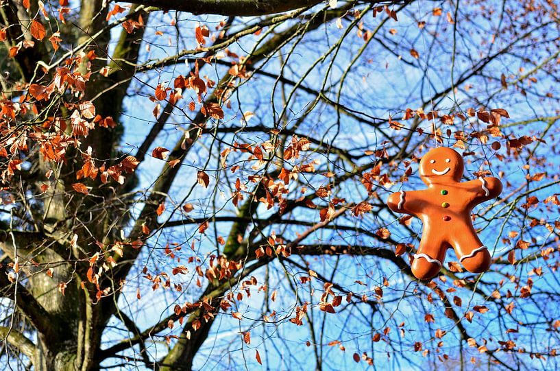 Biscuit au gingembre pendu d'un arbre par Carolina Reina Photography