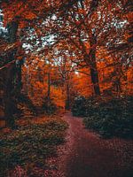 Herbst 5