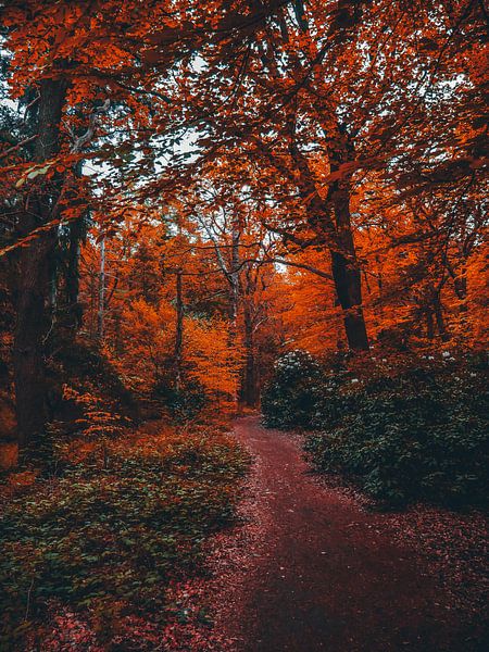 autumn 5 by snippefotografie