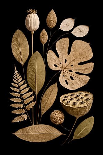 Botanische gouden elementen op zwart