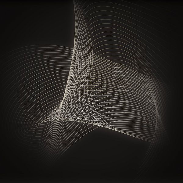 Geometrisch kunstwerk met gebogen lijnen van Emiel de Lange