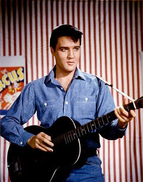 Elvis Presley, 1964 van Bridgeman Images