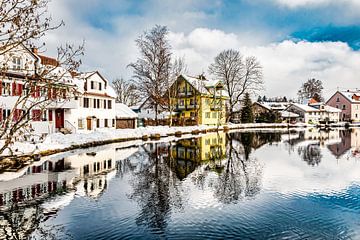 Reflectie in de Sauweiher vijver in Isny im Allgäu Duitsland met sneeuw in de winter van Dieter Walther