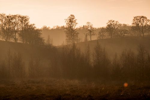 Landschap in Gouden Dauw Heuvels in Ochtendstilte