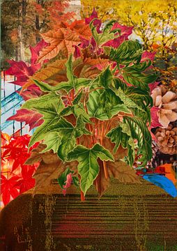 Horae sur Filipe Armond