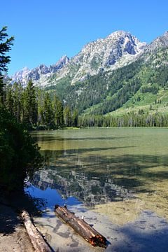 Spiegeling bergen in meer Grand Teton Verenigde Staten van My Footprints