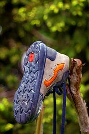 The lonely and lost shoe : van Photoart-Naegele