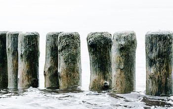 Groynes