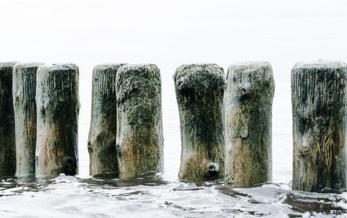 Groynes