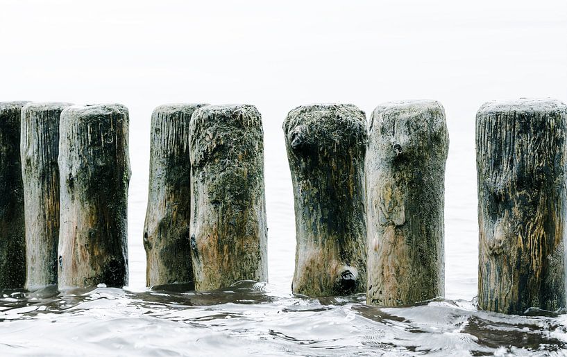Groynes by Ralf Hickmann