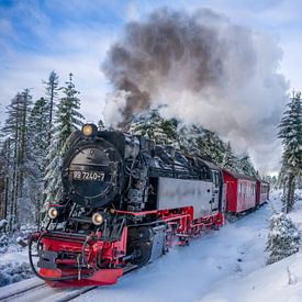 Die Brockenbahn am Goetheweg von t.ART