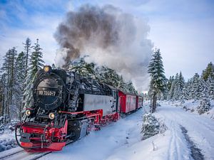 Die Brockenbahn am Goetheweg