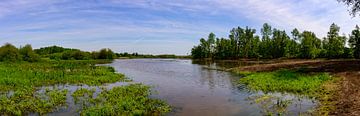 Panorama: Bird breeding ground in the Antwerp Kempen region by Kristof Leffelaer