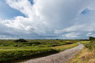 Westerburenpad, Schiermonnikoog von John Verbruggen Miniaturansicht