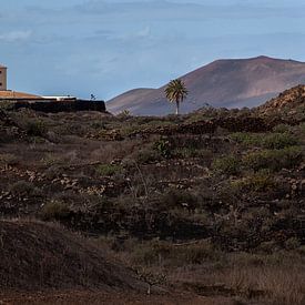 Lanzarote landscape sur Peter van Eekelen
