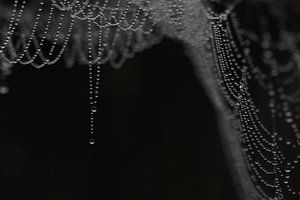 Hangende parelketting