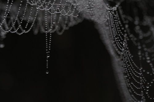 Hangende parelketting