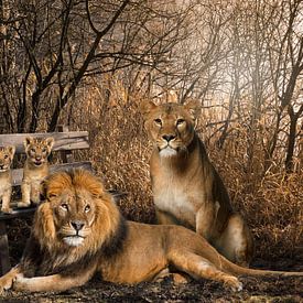 Lion and lioness with 2 cubs by Bert Hooijer