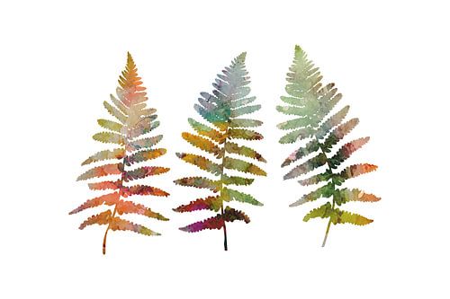 Fern Botanical in Earthy Watercolor Tones by Dina Dankers