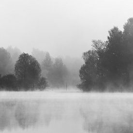 Des arbres disparaissent dans le brouillard matinal au-dessus du lac sur Patrik Lovrin