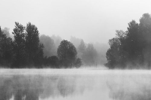 Bomen die in de ochtendmist boven het meer verdwijnen