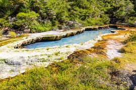 activités volcaniques à waimangu sur Markus Gann