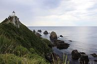 Nugget Point, Nieuw Zeeland van Pamela Fritschij thumbnail