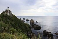 Nugget Point, Nieuw Zeeland