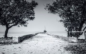 L'entrée de la mer sur Loris Photography