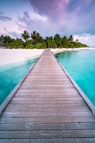Le chemin du paradis ( debout )