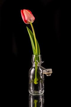 Een rode tulp in een kleine glazen fles van Photo Art Thomas Klee