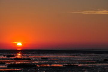 Sonnenuntergang am Meer von Lex Schulte