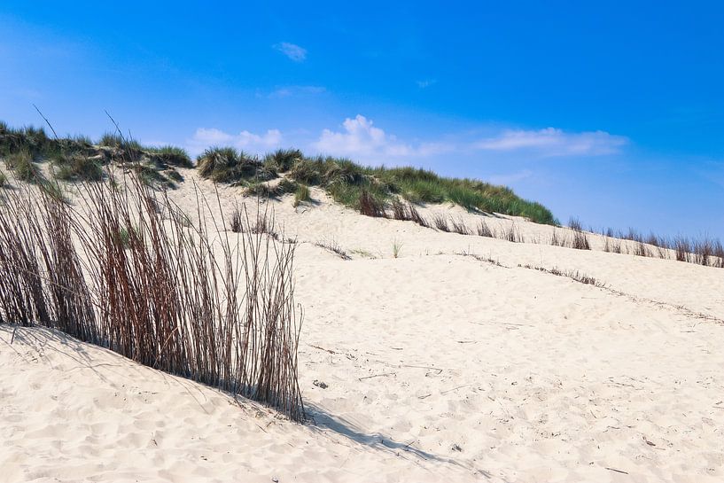 the dunes on texel beach by Martin Albers Photography