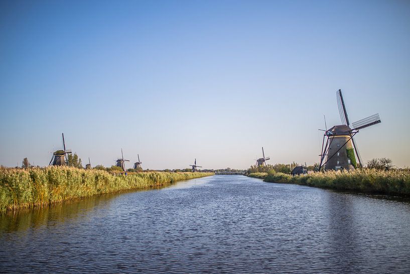 The windmills of kinderdijk by Omri Raviv